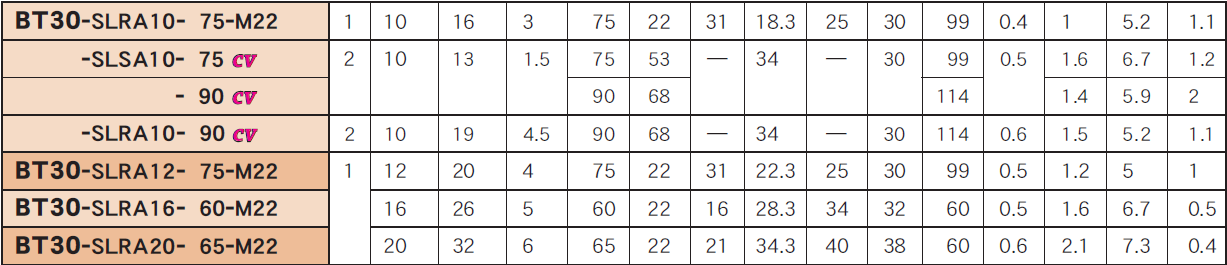 BT30一體（tǐ）式熱裝刀柄